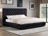 Dream Black Queen Platform Bed from Happy Homes - Luna Furniture
