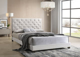 Durbuy White Queen Platform Bed from Happy Homes - Luna Furniture