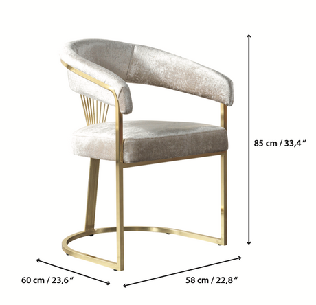 Santana Ivory Dining Chair from Nova Furniture - Luna Furniture