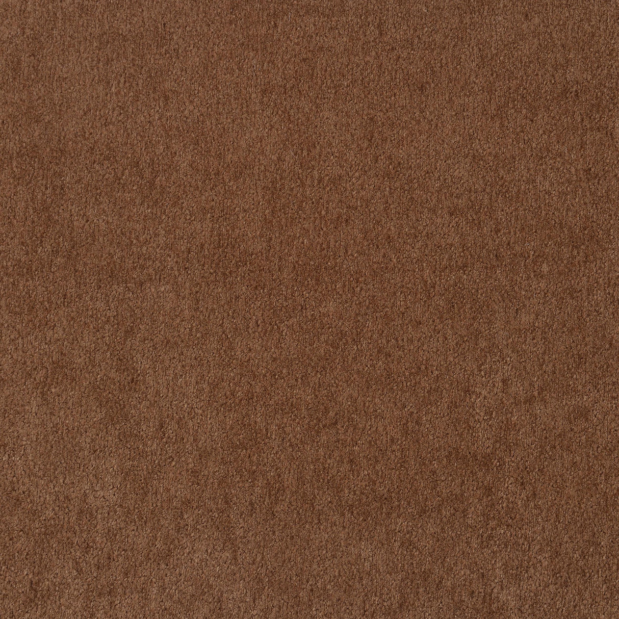 Selma Rust Velvet Crescent Arm Sofa from Coaster - Luna Furniture