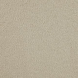 Serra Sandy Beige Boucle Swivel Glider Recliner from Coaster - Luna Furniture