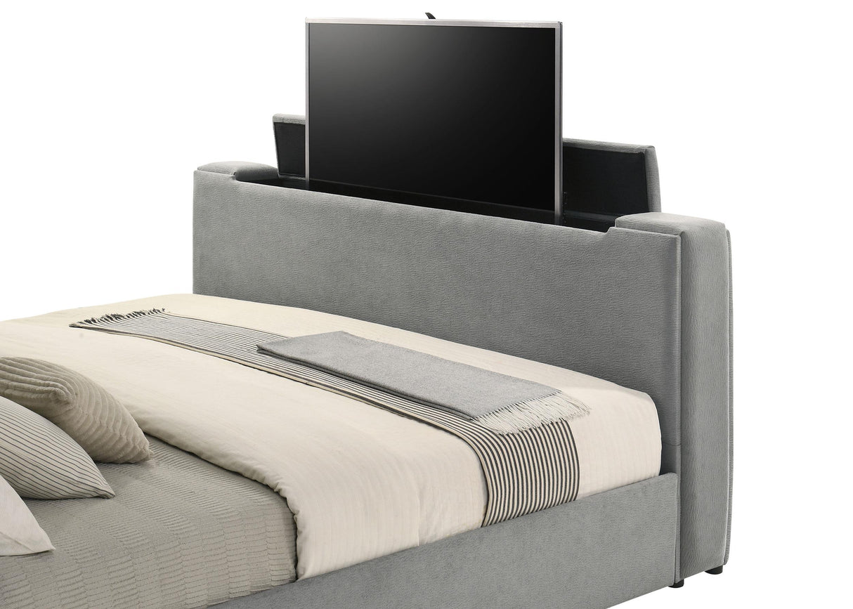 Tara Gray 61-inch Upholstered Eastern King Panel TV Bed from Coaster - Luna Furniture