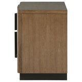 Terrace Ash Brown 2-Drawer Nightstand from Coaster - Luna Furniture