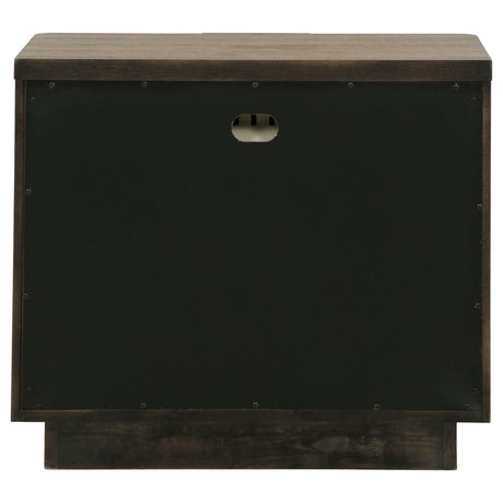 Terrace Ash Brown 2-Drawer Nightstand from Coaster - Luna Furniture