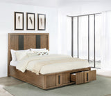 Terrace Ash Brown 2-Drawer Queen Storage Bed from Coaster - Luna Furniture
