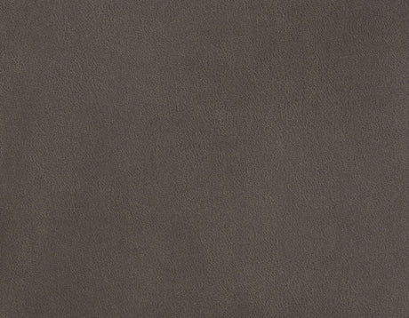 Thames Walnut Power Lift Chair with Power Headrest from Steve Silver - Luna Furniture