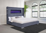 Tisdall Gray 67-inch Upholstered Eastern King Fireplace Bed from Coaster - Luna Furniture