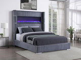 Tisdall Gray 67-inch Upholstered Queen Fireplace Bed from Coaster - Luna Furniture