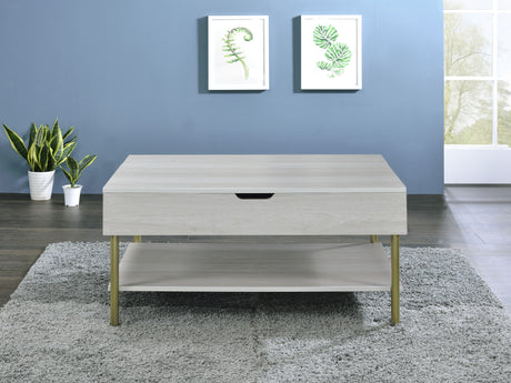 Whitman Lift-Top Cocktail Table from Steve Silver - Luna Furniture