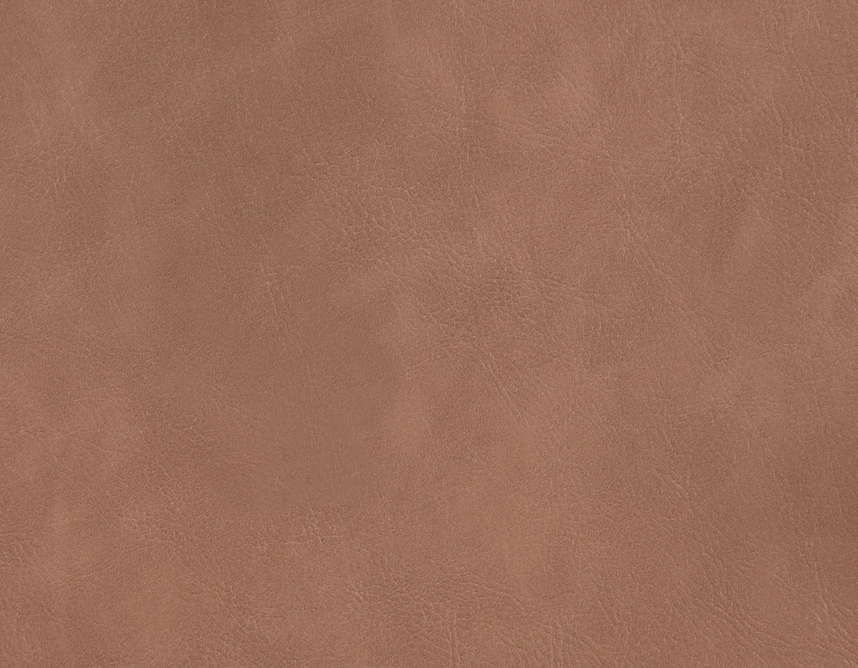 Tucson Brown Side Chair, Set of 2 from Steve Silver - Luna Furniture