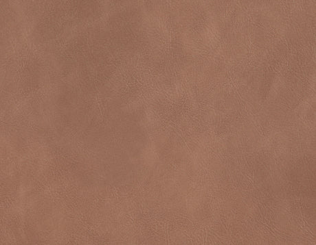 Tucson Brown Side Chair, Set of 2 from Steve Silver - Luna Furniture