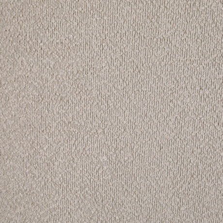 Valdez Beige Boucle Upholstered Barrel Back Accent Chair from Coaster - Luna Furniture