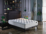 Veraflex Advance Queen Mattress from Bellona - Luna Furniture