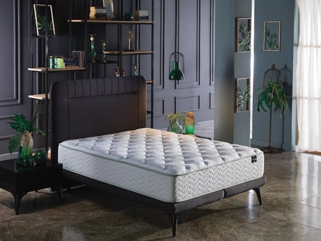 Veraflex Advance Queen Mattress from Bellona - Luna Furniture
