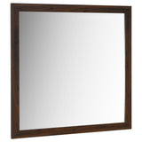 Welsley Walnut Dresser Mirror (Mirror Only) from Coaster - Luna Furniture