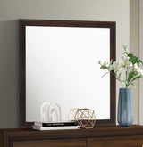 Welsley Walnut Dresser Mirror (Mirror Only) from Coaster - Luna Furniture