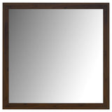 Welsley Walnut Dresser Mirror (Mirror Only) from Coaster - Luna Furniture