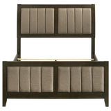 Wilkes Dark Cocoa Upholstered Full Bed from Coaster - Luna Furniture