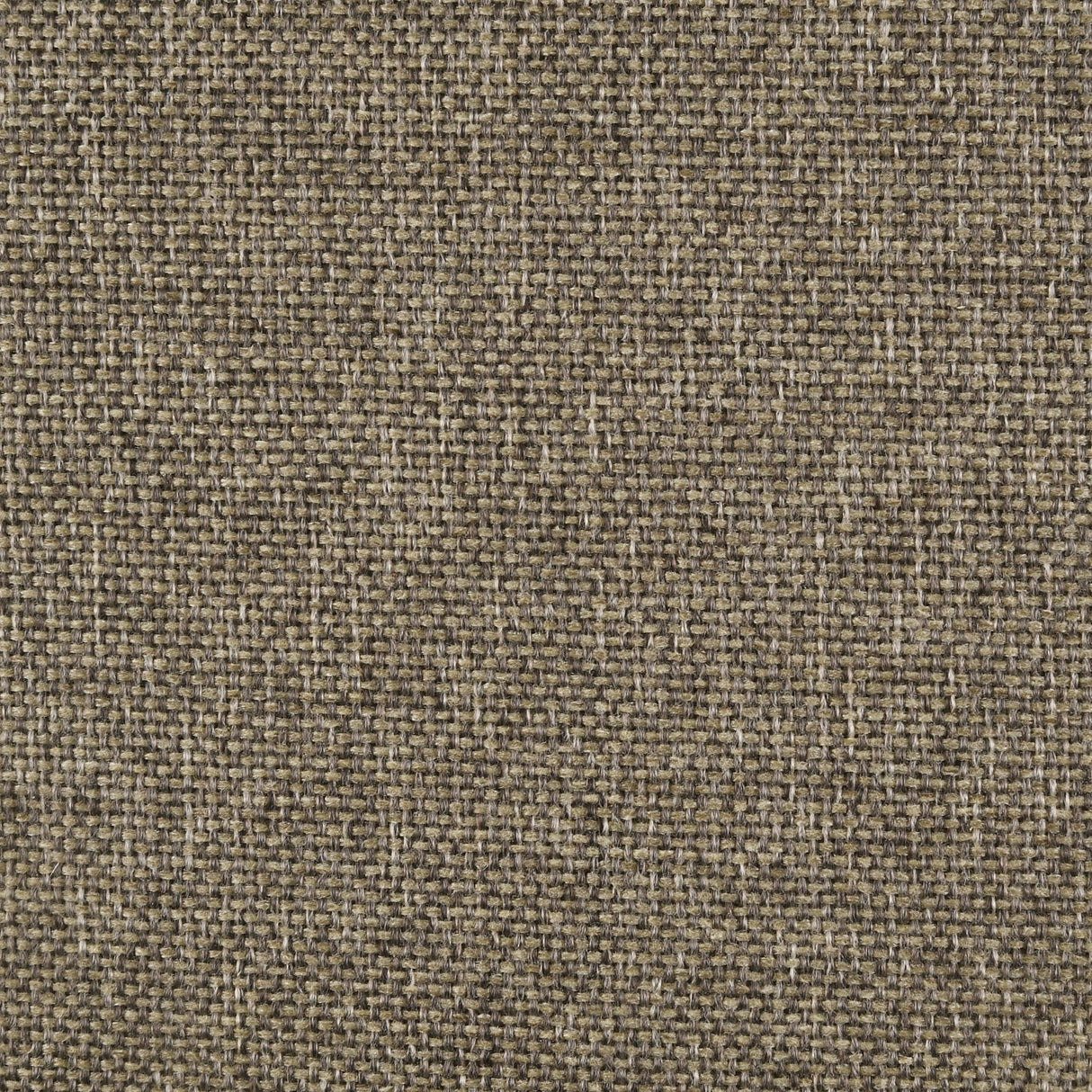 Wilkes Dark Cocoa Upholstered Twin Bed from Coaster - Luna Furniture