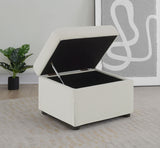 Winter Beige Upholstered Hydraulic Lift Top Storage Ottoman from Coaster - Luna Furniture