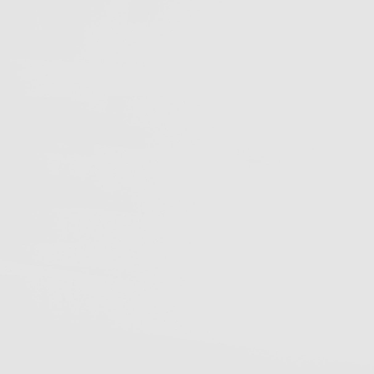 Wyatt White and Natural Wood Twin Over Twin Bunk Bed from Coaster - Luna Furniture