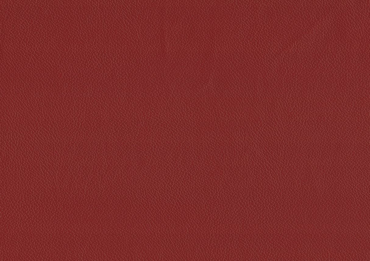 Ride Matt Red Counter Height Stool, Set of 2 from Homelegance - Luna Furniture