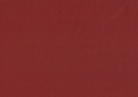 Ride Matt Red Counter Height Stool, Set of 2 from Homelegance - Luna Furniture