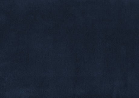 Holland Park Dark Blue Velvet Accent Chair from Homelegance - Luna Furniture