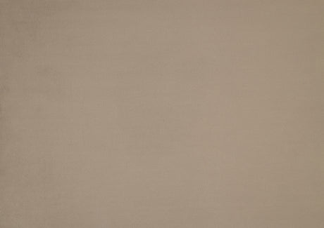 Landers Light Brown Velvet Accent Chair from Homelegance - Luna Furniture