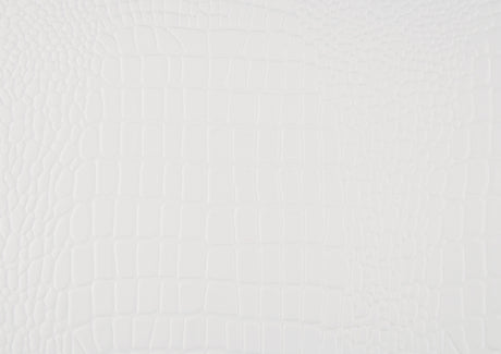 Lana White 4-Piece Youth Bedroom Set (Twin Bed, Nightstand, Dresser, Mirror) from Homelegance - Luna Furniture