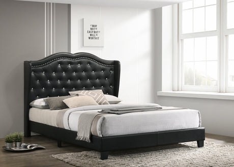 Paradise Black Queen Platform Bed - Luna Furniture