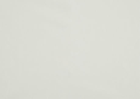 Daisy White/Dark Brown Side Chair, Set of 2 from Homelegance - Luna Furniture