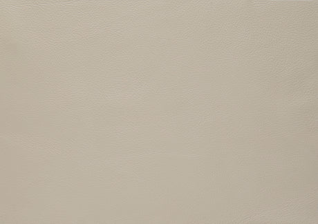 Thierry Cream Loveseat from Homelegance - Luna Furniture