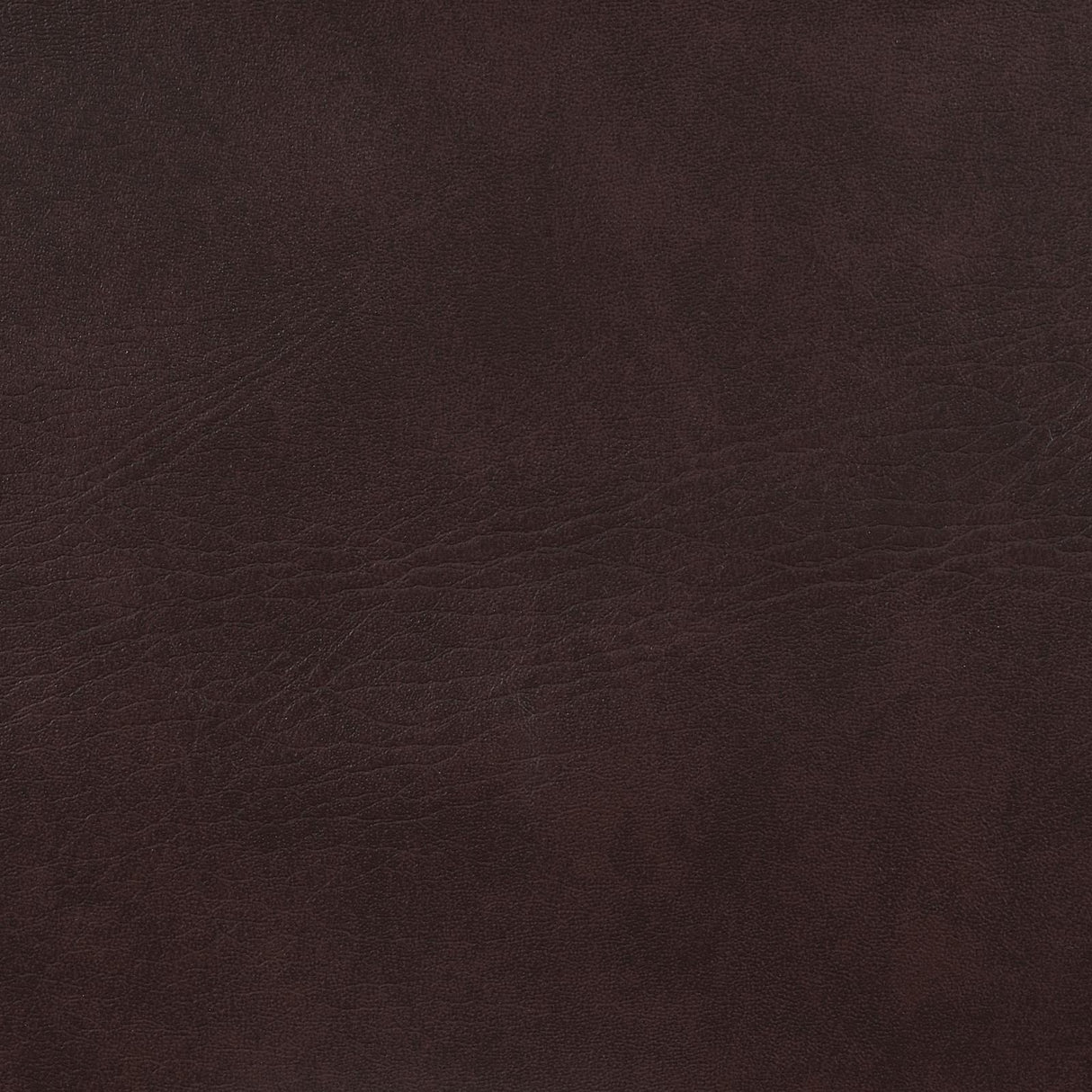 Adelaide Brown and Chrome Upholstered Bar Stool with Open Back from Coaster - Luna Furniture