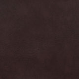 Adelaide Brown and Chrome Upholstered Bar Stool with Open Back from Coaster - Luna Furniture