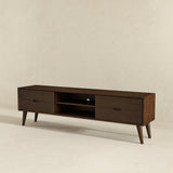 Adrian Walnut TV Stand from Ashcroft Furniture - Luna Furniture