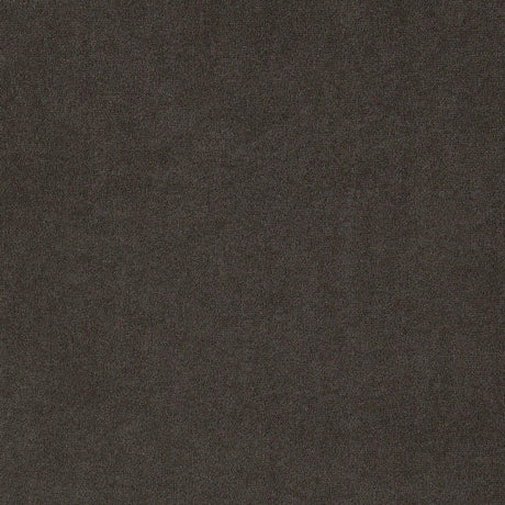 Alana Upholstered Tufted Arm Chair with Nailhead Trim from Coaster - Luna Furniture