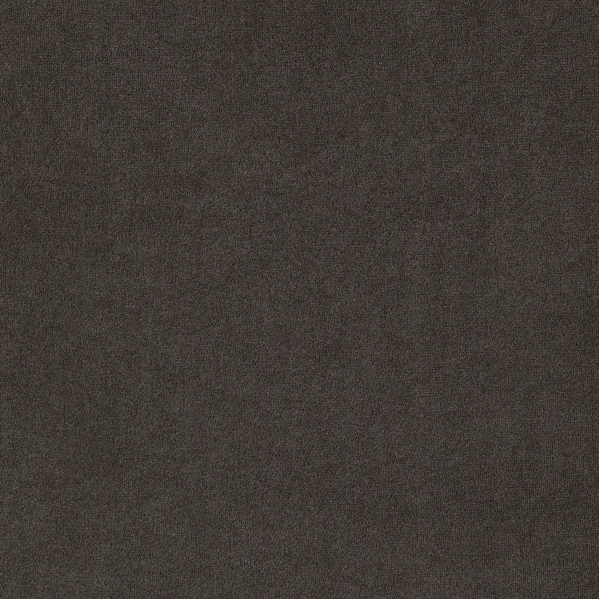 Alana Upholstered Tufted Side Chairs with Nailhead Trim, Set of 2 from Coaster - Luna Furniture