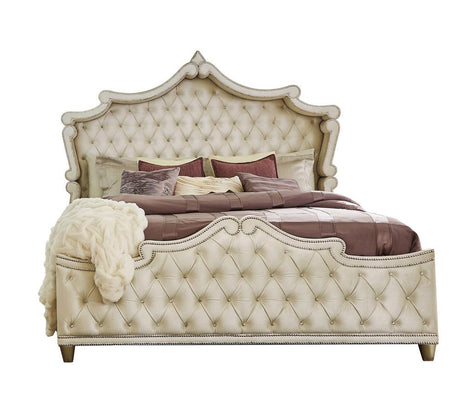 Antonella Ivory and Camel Tufted Upholstered Bedroom Set from Coaster - Luna Furniture