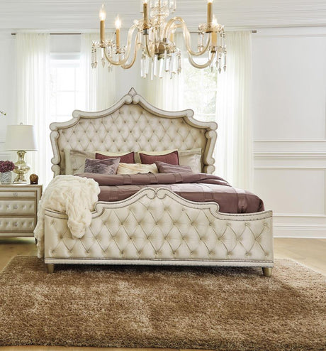 Antonella Ivory and Camel Tufted Upholstered Queen Bed from Coaster - Luna Furniture