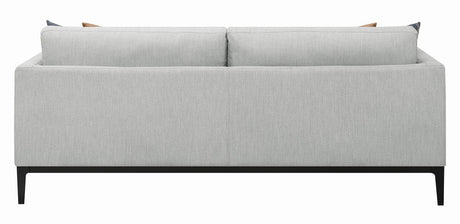 Apperson Light Gray Cushioned Back Sofa from Coaster - Luna Furniture