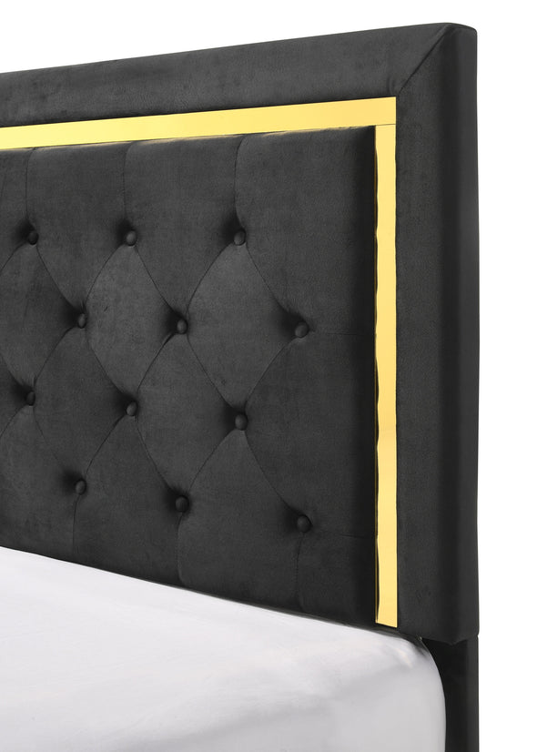 Pepe Black/Gold Panel Upholstered Bedroom Set
