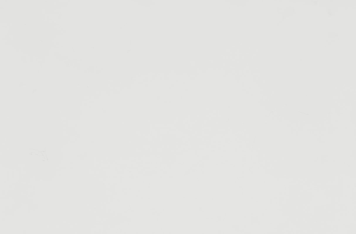 Blaire Farm White King Panel Bed from Homelegance - Luna Furniture