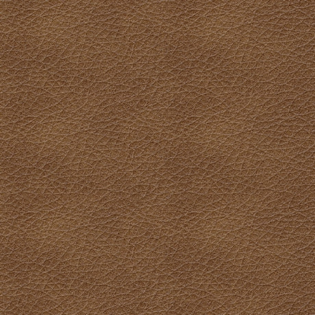 Bolsena Caramel Queen Sofa Sleeper from Ashley - Luna Furniture