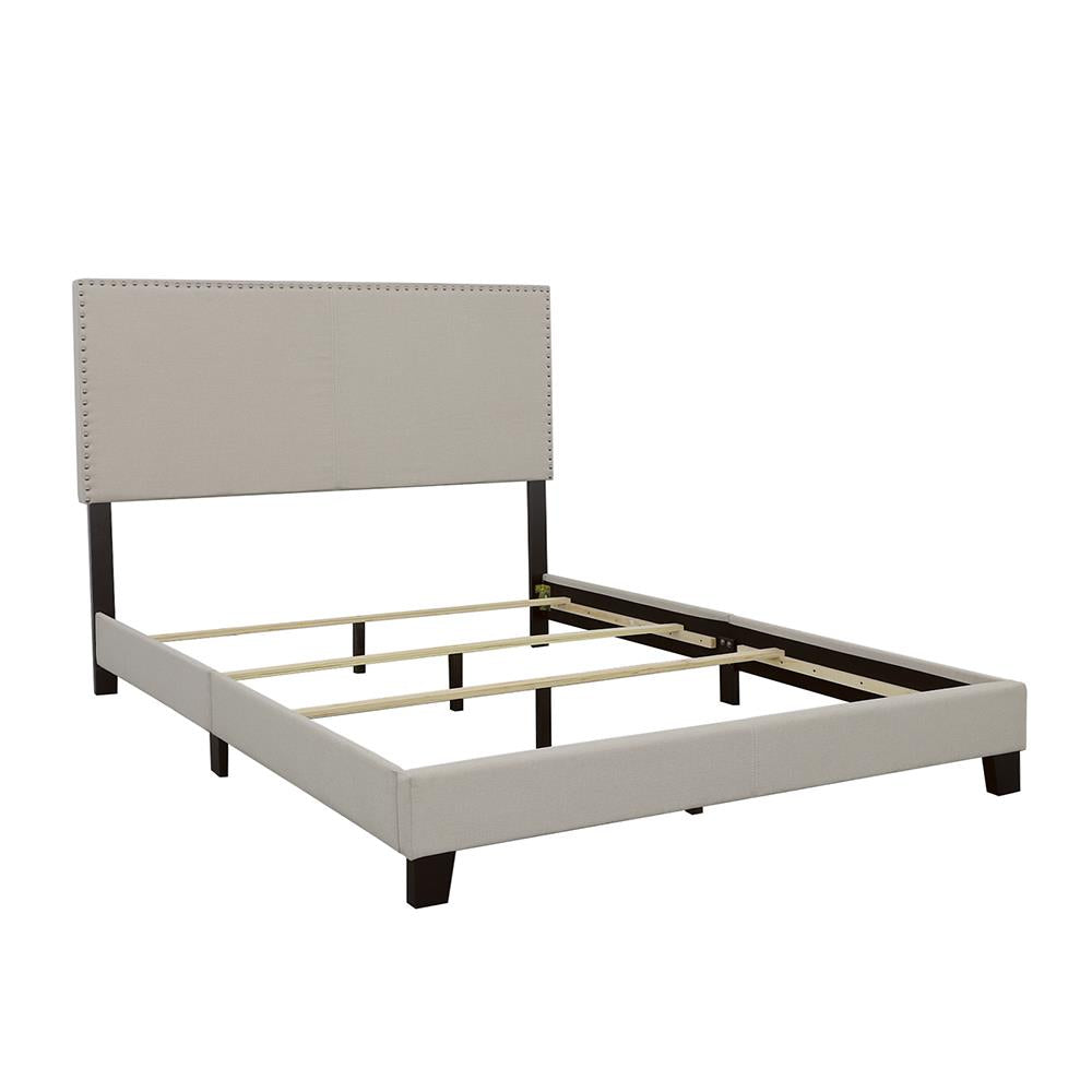 Boyd Ivory Upholstered Eastern King Bed with Nailhead Trim from Coaster - Luna Furniture
