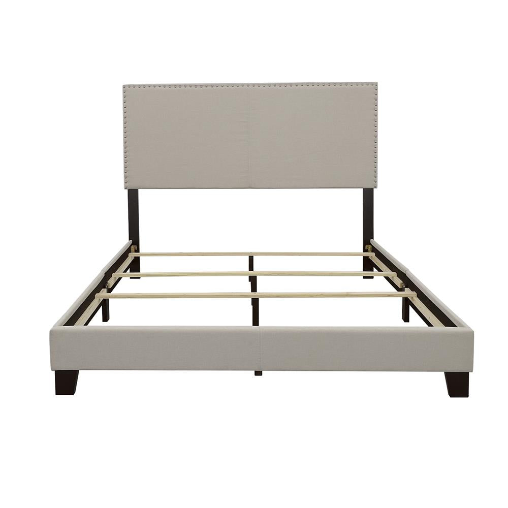 Boyd Ivory Upholstered Queen Bed with Nailhead Trim from Coaster - Luna Furniture