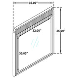 Brookmead Black Dresser Mirror (Mirror Only) from Coaster - Luna Furniture