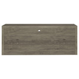 Burke Gray Driftwood 2-Drawer TV Console from Coaster - Luna Furniture