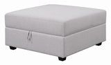 Cambria Gray Square Storage Ottoman from Coaster - Luna Furniture