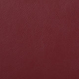 Camila Red Faux Leather Motion Reclining Loveseat from Coaster - Luna Furniture